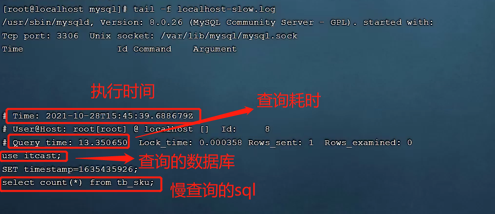 image-20220207175342082
