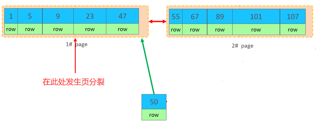 image-20220214210440016