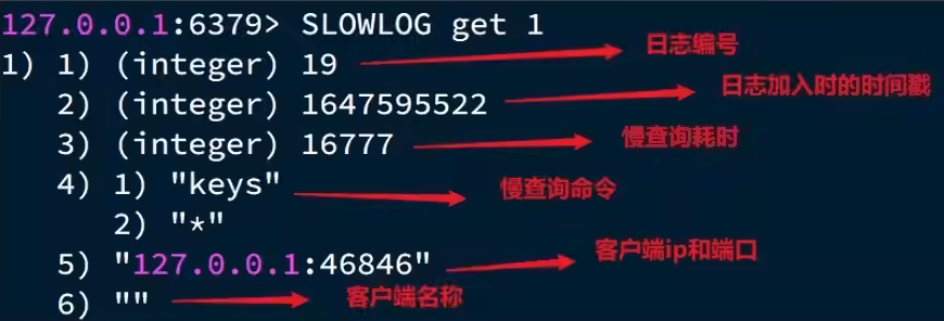 image-20220328213608971