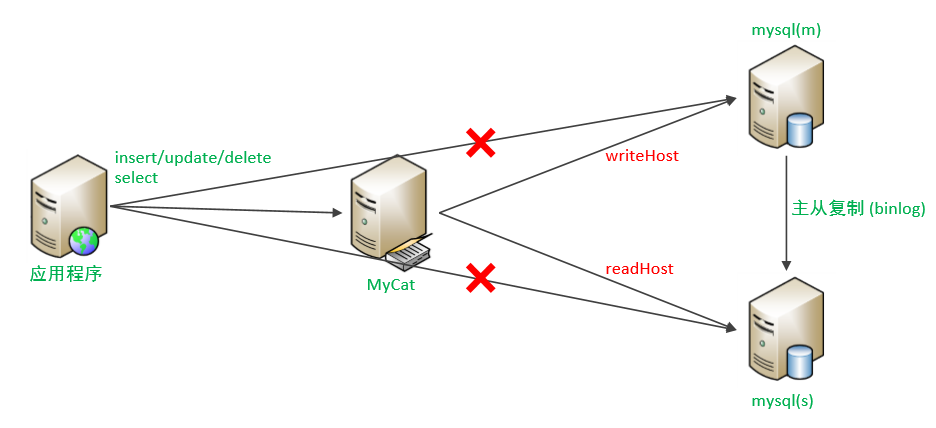 image-20220309210918613