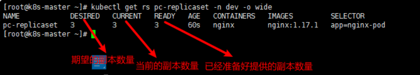 image-20230804145044488