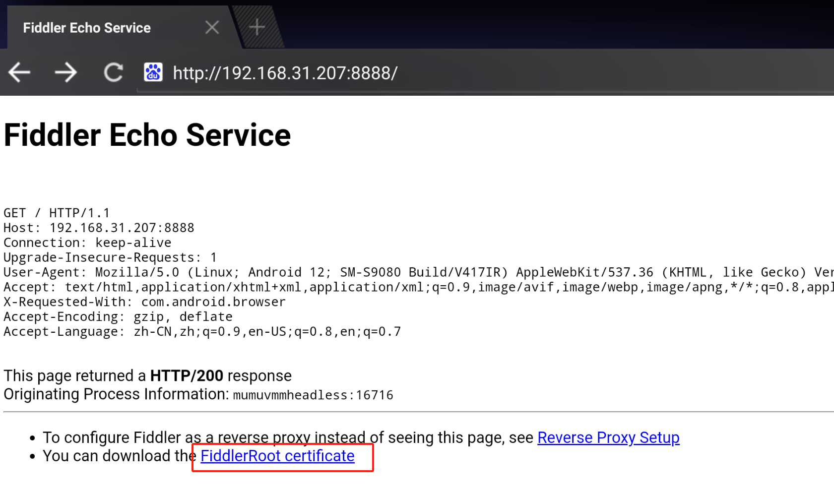 image-20240625222157692